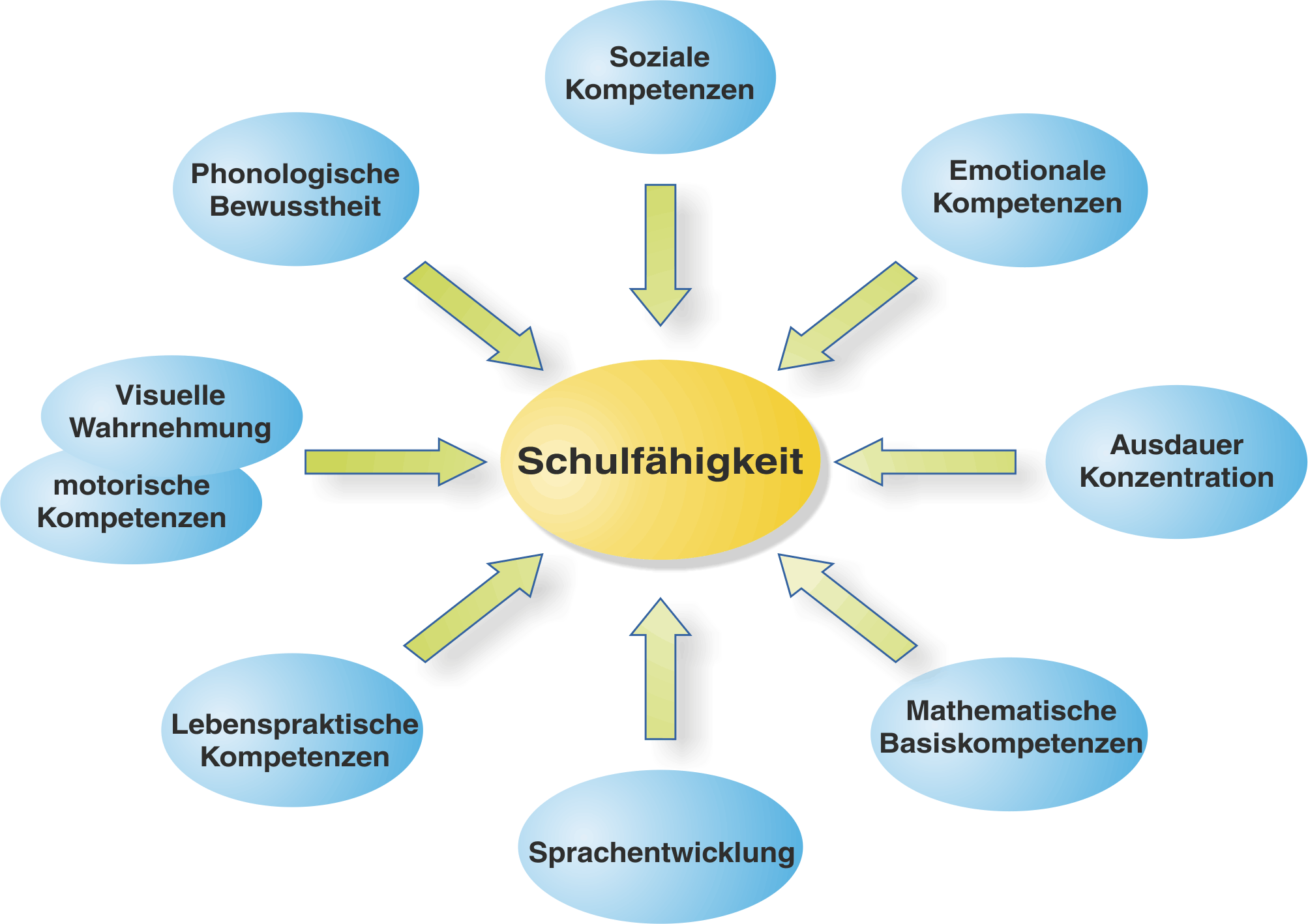 ibr-Akademie - Schulf�higkeit
